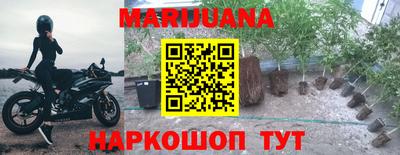 индика Бузулук