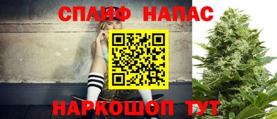 индика Бузулук