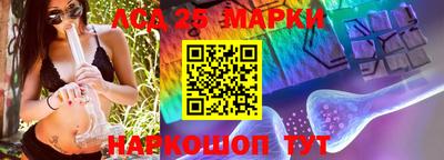 прущие крисы Будённовск