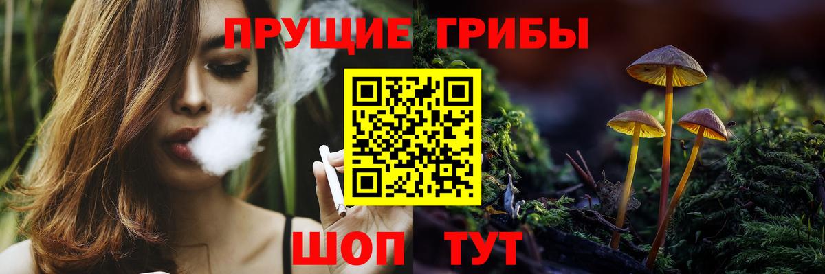 Салават  Псилоцибиновые грибы ЛСД  Вход с VPN 